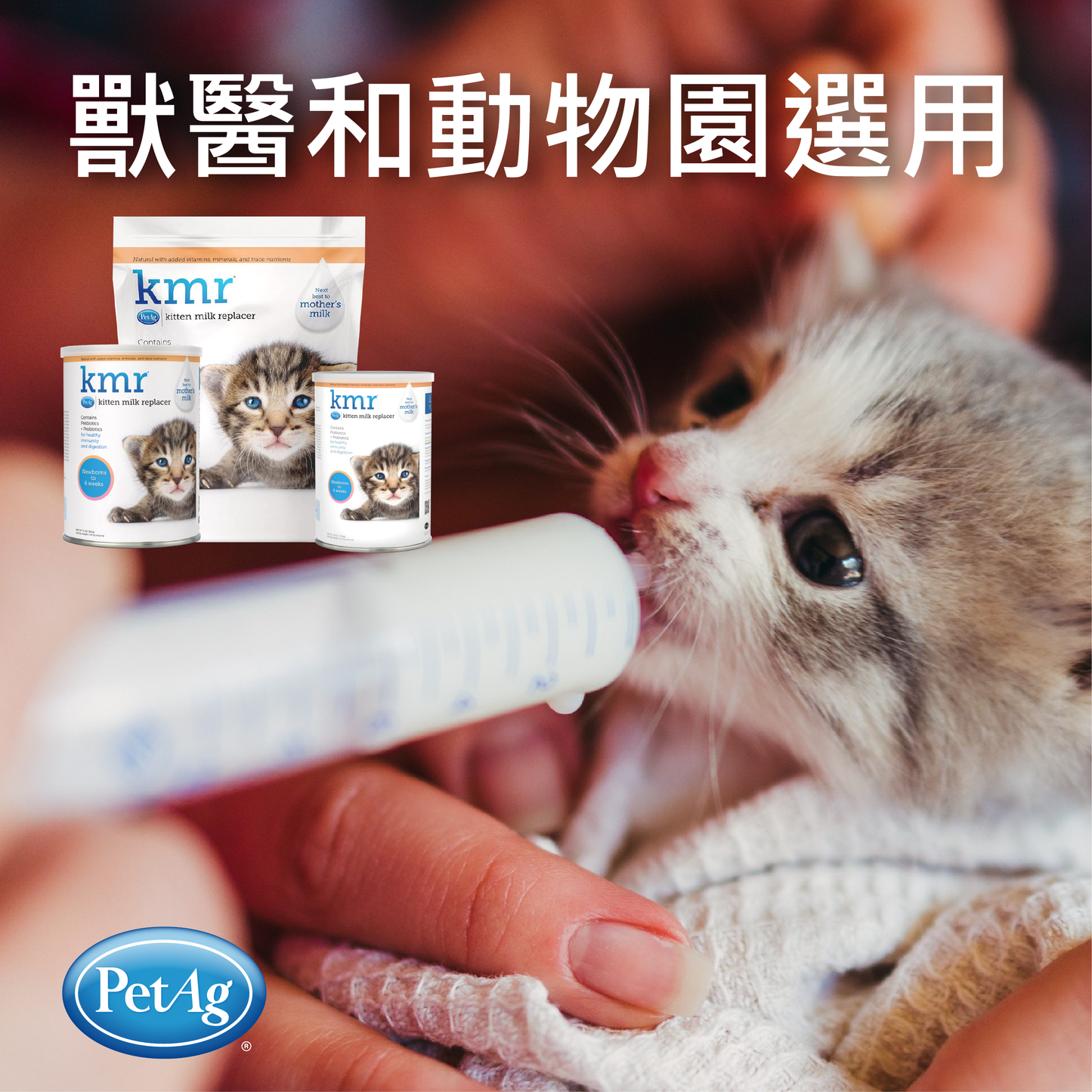 PetAg KMR 貝克幼貓奶粉 12oz