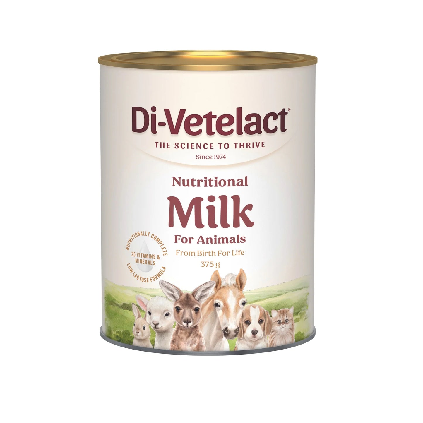Di-Vetelact Nutritional Milk For Animals 維特動物營養奶粉 375gm