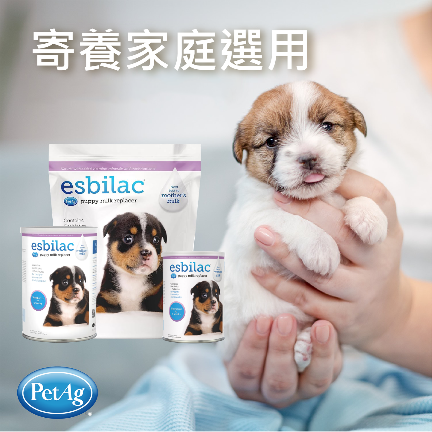 PetAg Esbilac 貝克幼犬奶粉 12oz